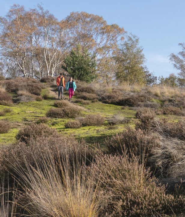 Edelherttrail Traject 3 Maas