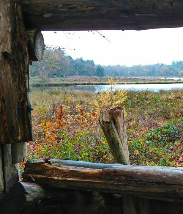 Wanderroute Lage Vuursche