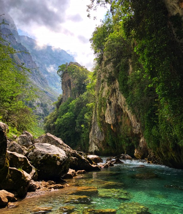 Picos de Europa