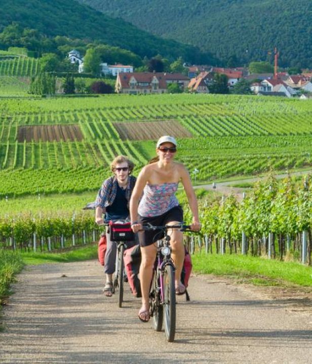 SNP Duitsland Fietsen