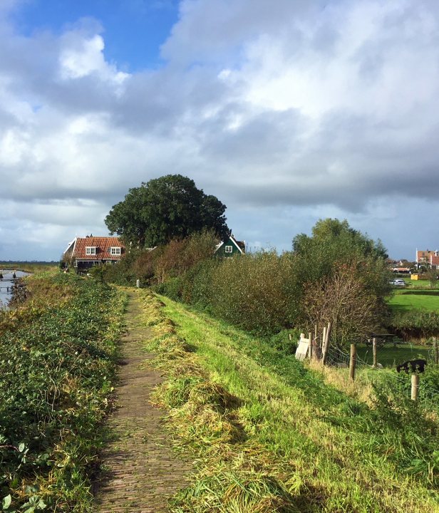 Rozewerf Marken