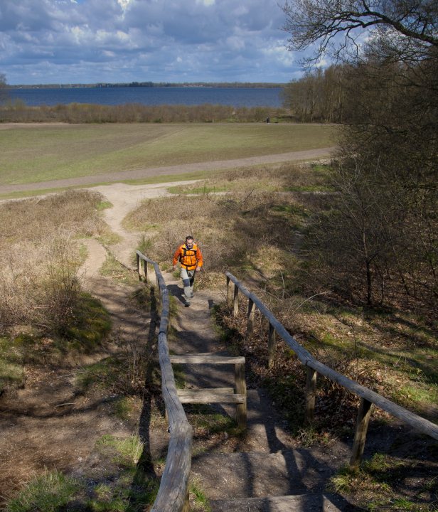 HeuvelrugHike wandelroute Utrechtse Heuvelrug
