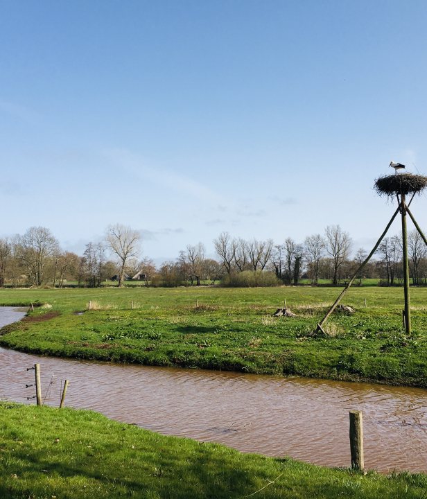 wandeling-drenthe