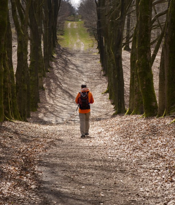 HeuvelrugHike wandelroute Utrechtse Heuvelrug
