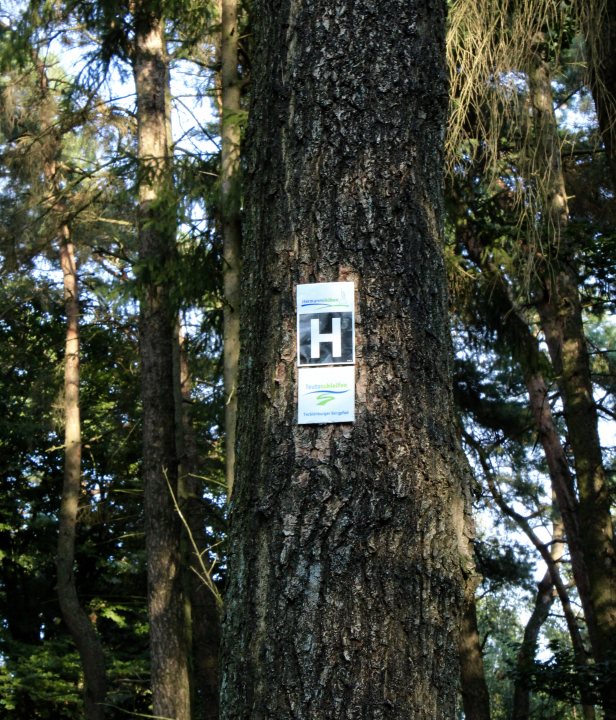 Markering Teutoburgerwoud 