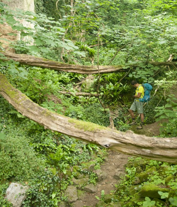 Dutch Mountain Trail wandelroute