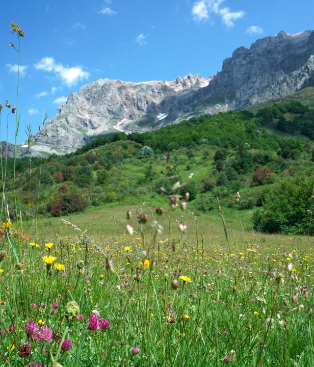 Wandelen in de Picos de Europa
