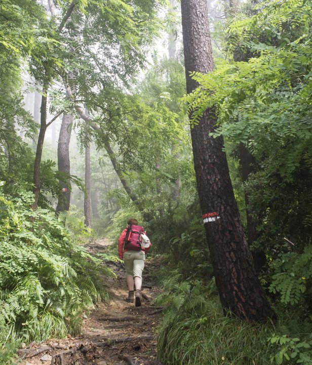 Wandelen Cinque Terre
