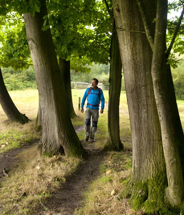Wandelroute Sallandse Toppentocht