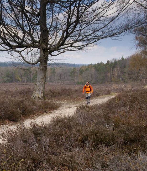 Wandelen Nederland