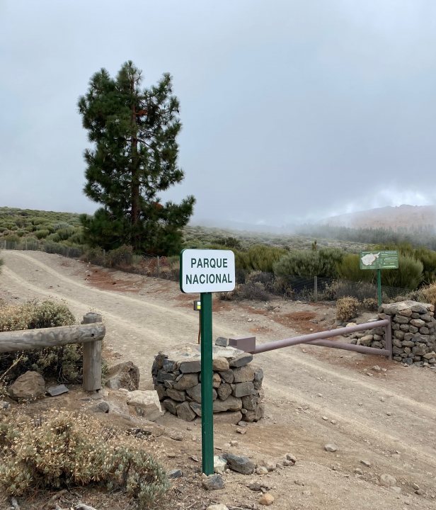 Parque Nacional del Teide