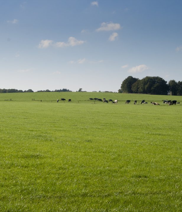 Wandelroute Sallandse Toppentocht