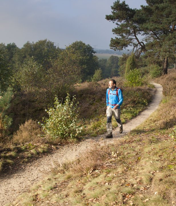 Wandelroute Sallandse Toppentocht