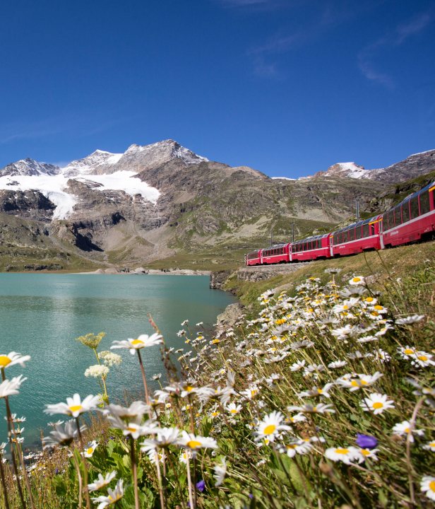 Bernina Express in het landschap