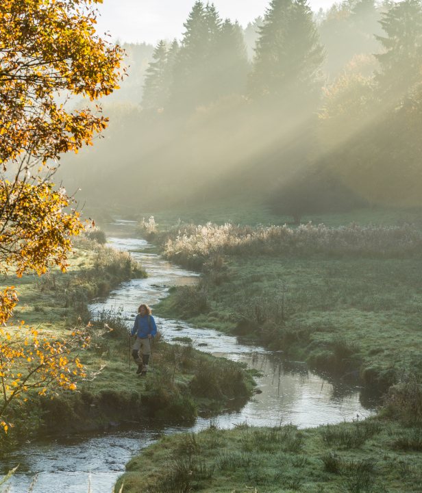 Asselborn - Tretterbaach