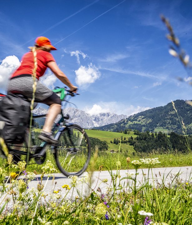 Tauern-Radweg: fluitend fietsen met bergzicht