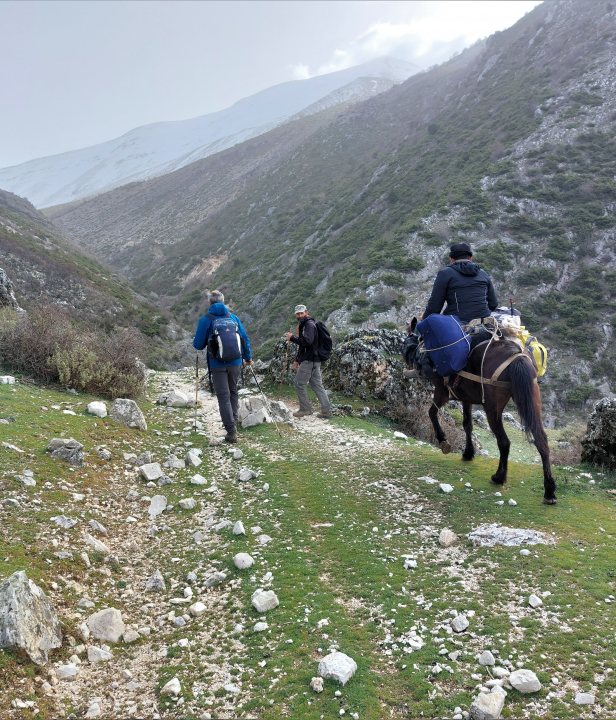 Met paard door de bergen van Albanie