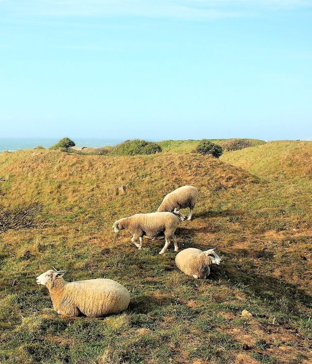 Fietsen vanuit de voordeur