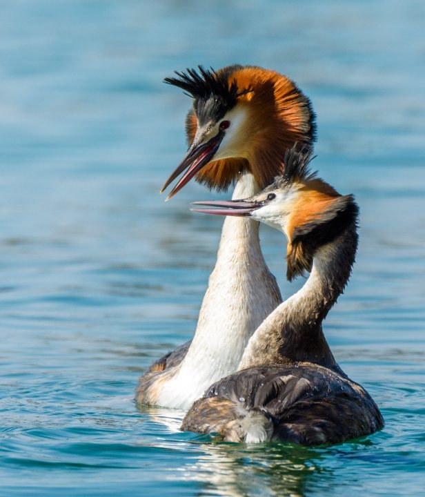 Fietsen vanuit de voordeur