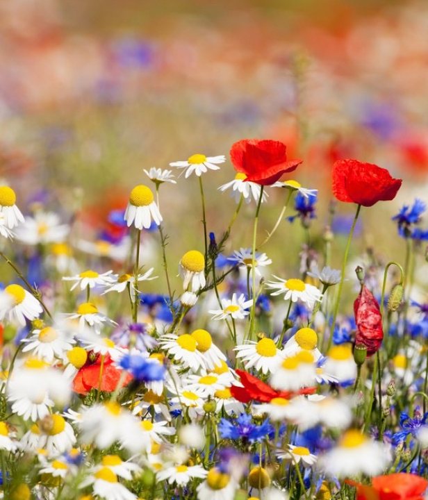 Fietsen vanuit de voordeur