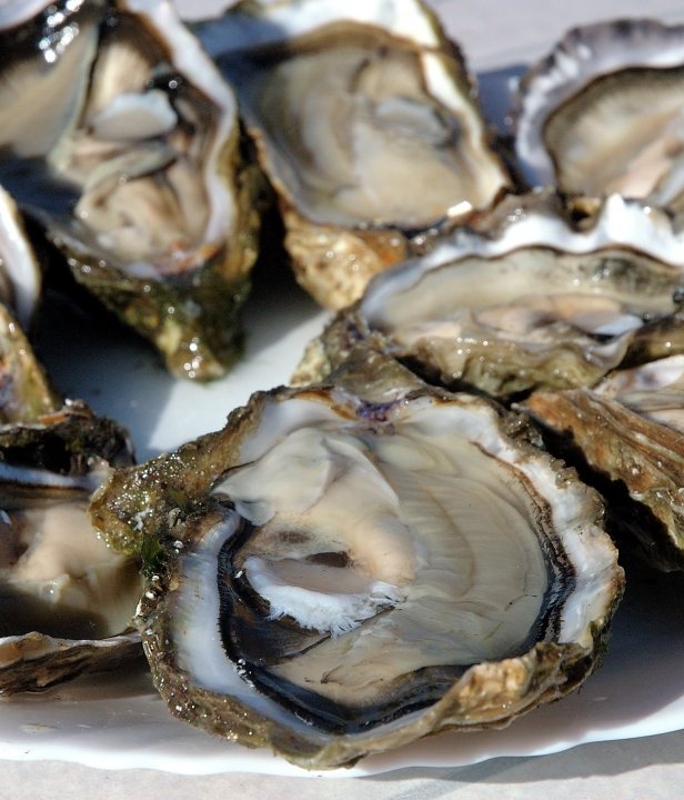 Fietsen vanuit de voordeur