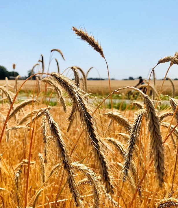 Fietsen vanuit de voordeur