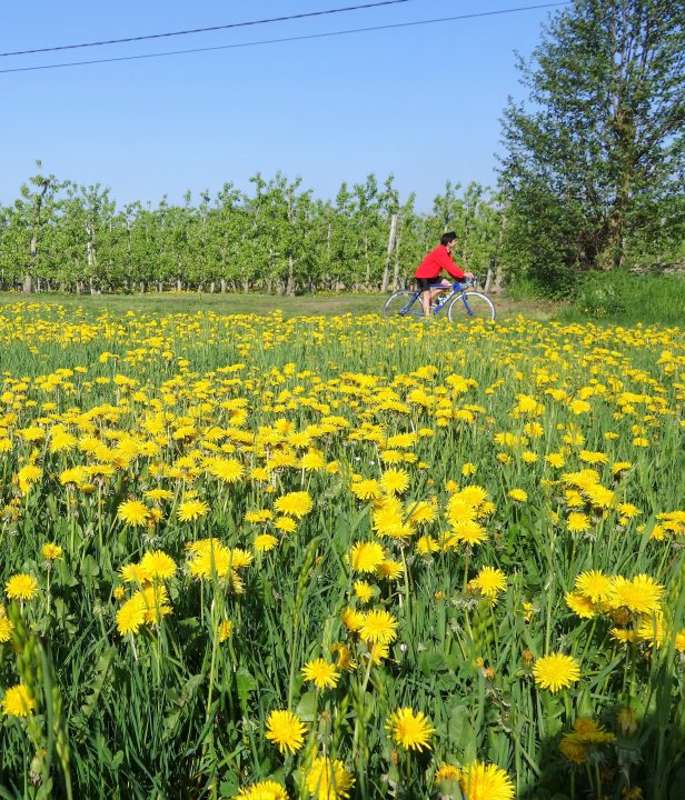 Fietsroutes over oude spoorlijnen