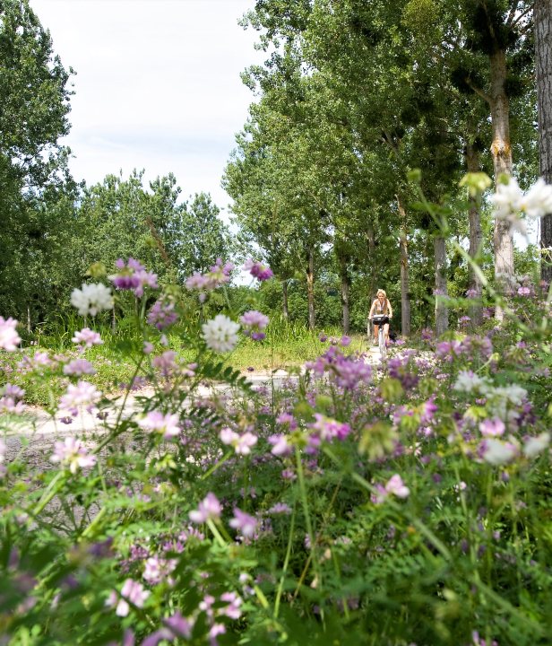 Fietsroutes over oude spoorlijnen