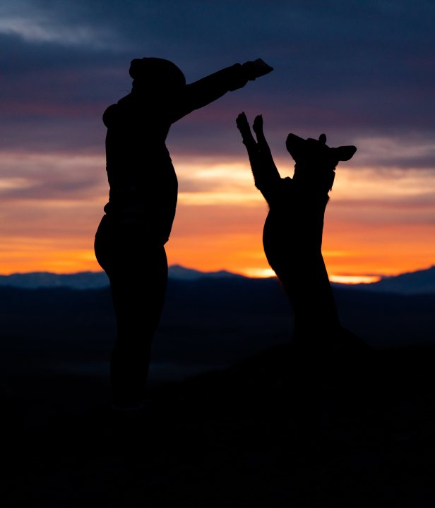 Huttentocht met hond