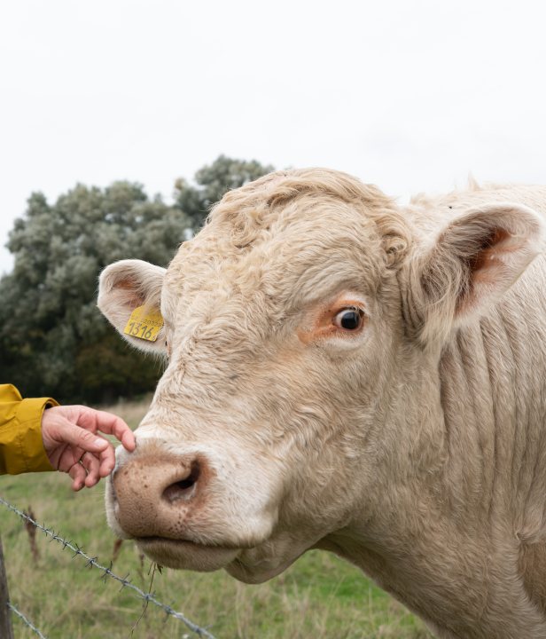 Wandelen in Zuid-Zweden dag 2