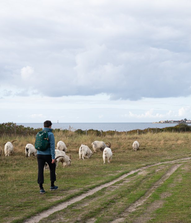 Wandelen in Zuid-Zweden 