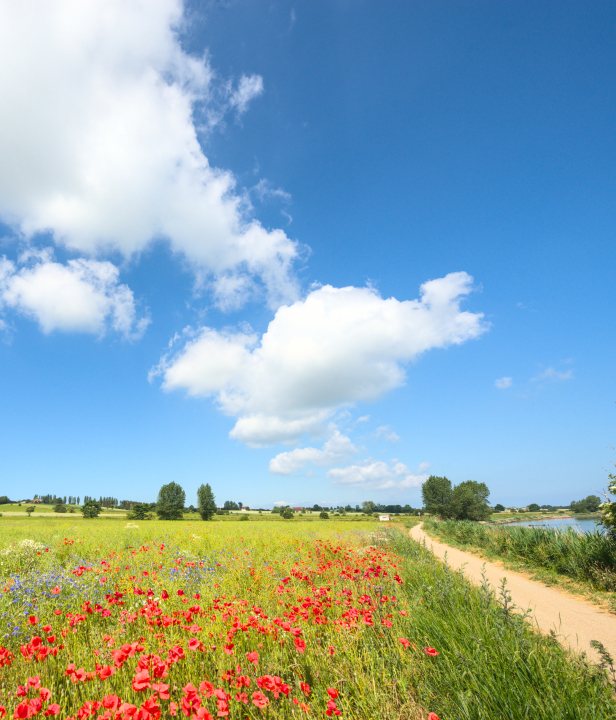 Kastelenroute Denemarken