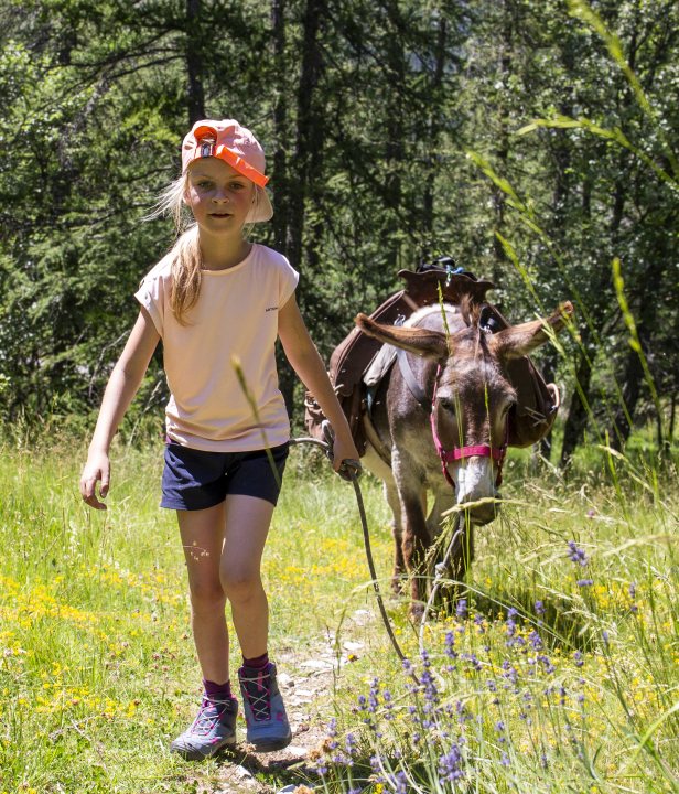 Ezelwandeling Mercantour