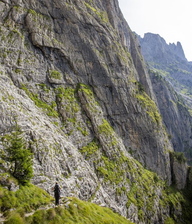 Palaronda Trek Dolomieten