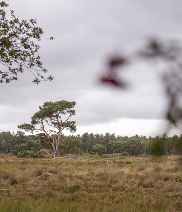 Liberation Route Brabant