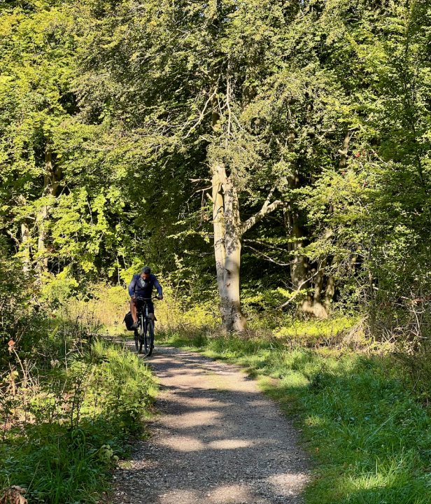 fietsen in groen