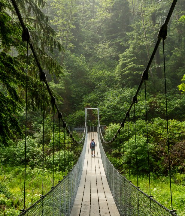 Oregon Coast Trail