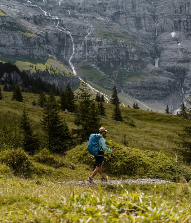 Barentrek Zwitserland