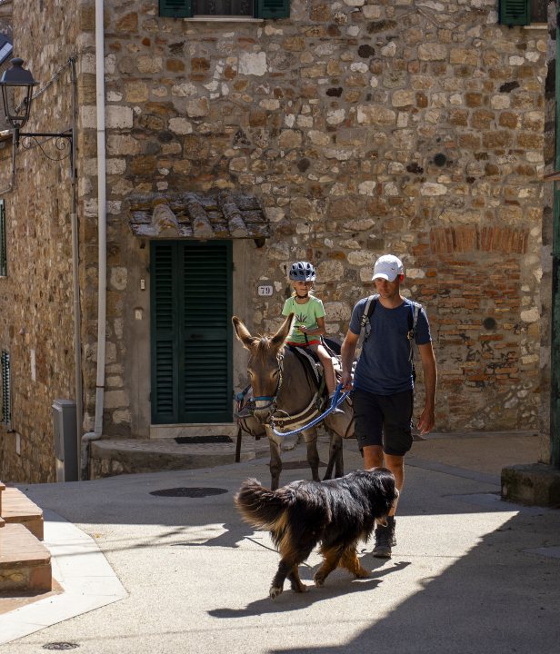 Wandelen ezel Toscane