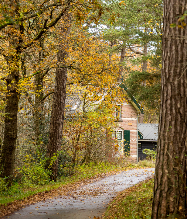 't Boshuis Hopman...