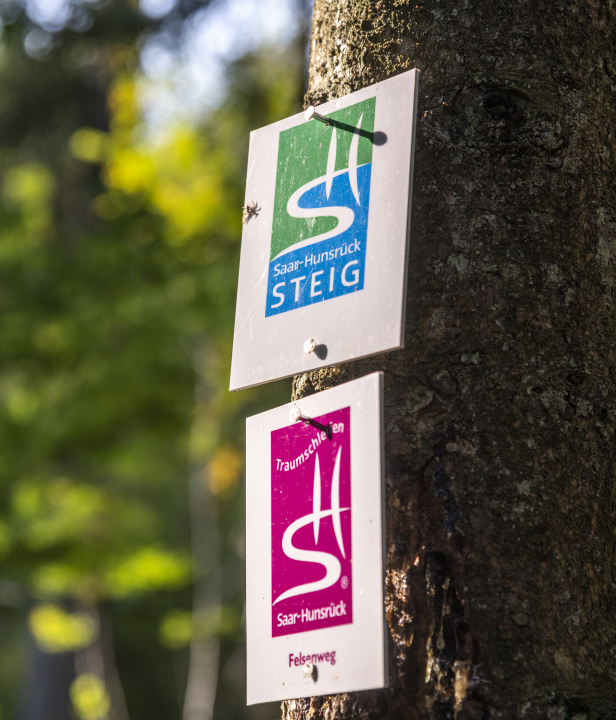 Saar Hunsruck Steig