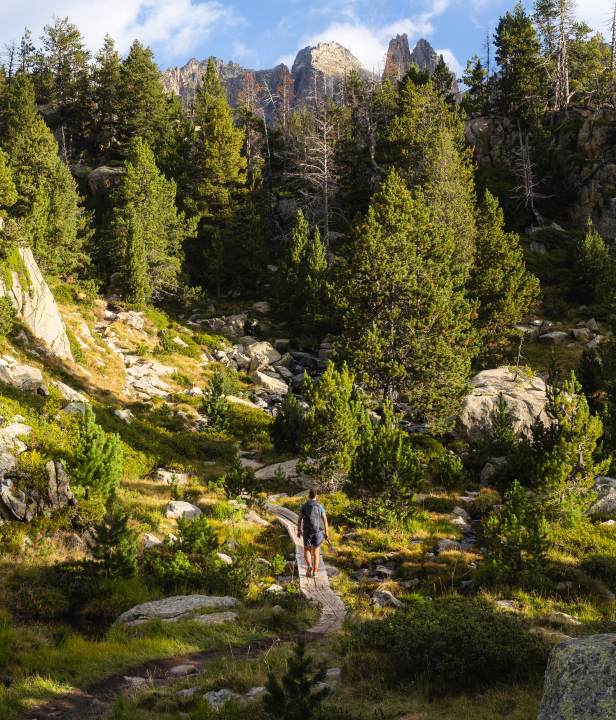 Huttentocht Carros de Foc