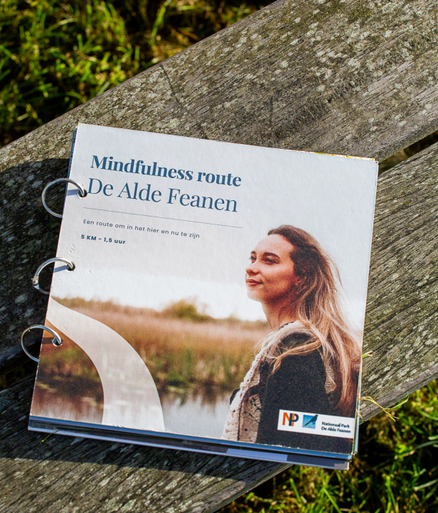 Winterwandelen Friesland