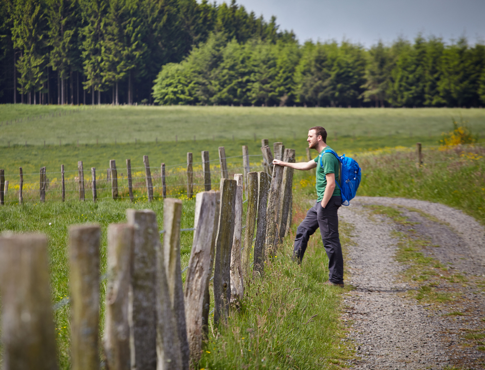 Wandelen Belgie Ardennen Transardenese Route 01