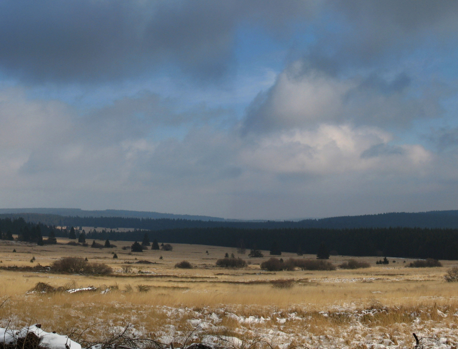 Wandelen Belgie Hoge Venen 02