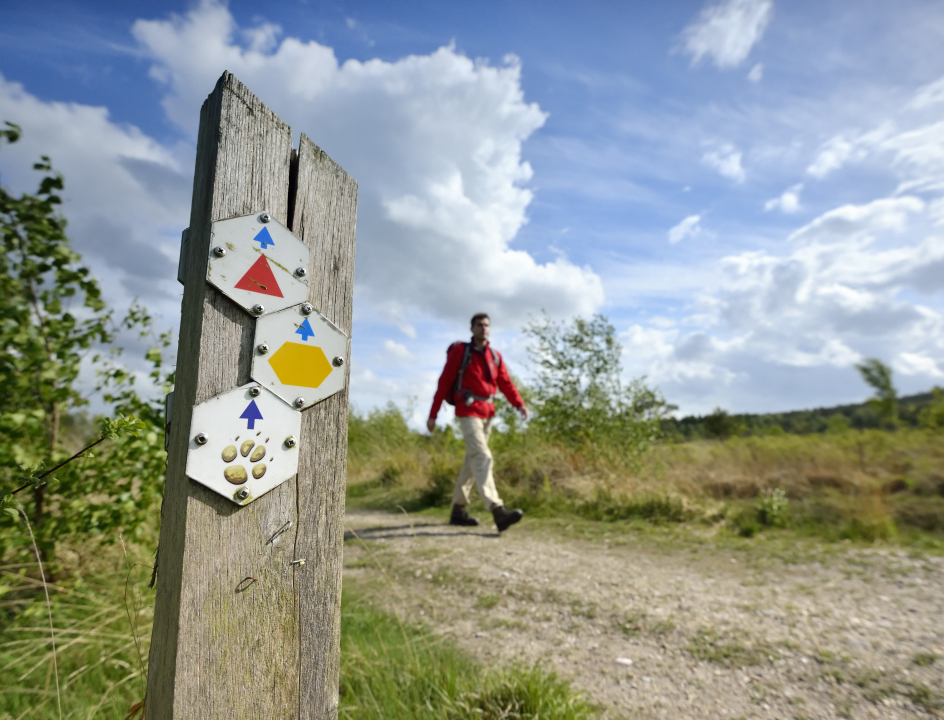 Zutendaal, zijpbeek Hoge Kempen