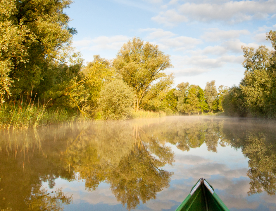 Biesbosch kanovaren