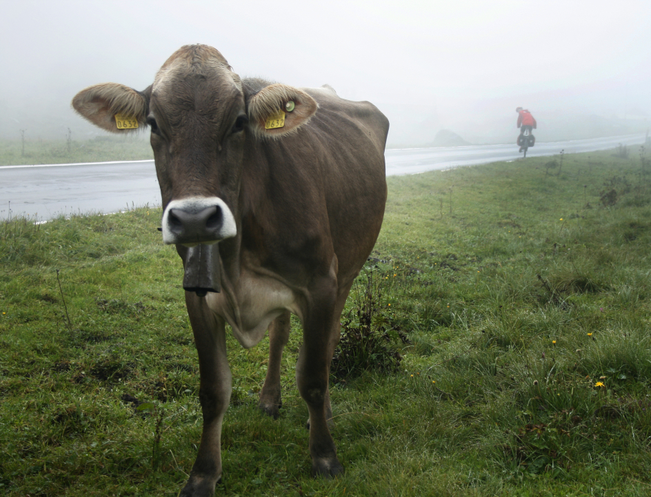 Fietsen in Zwitserland over bergpassen