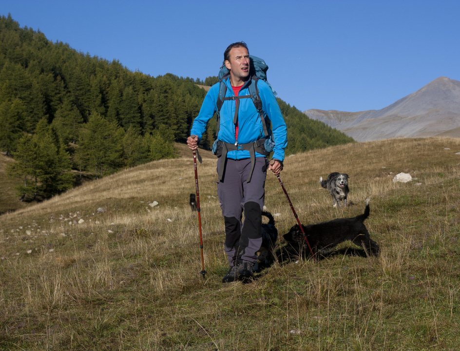 Huttentocht met hond