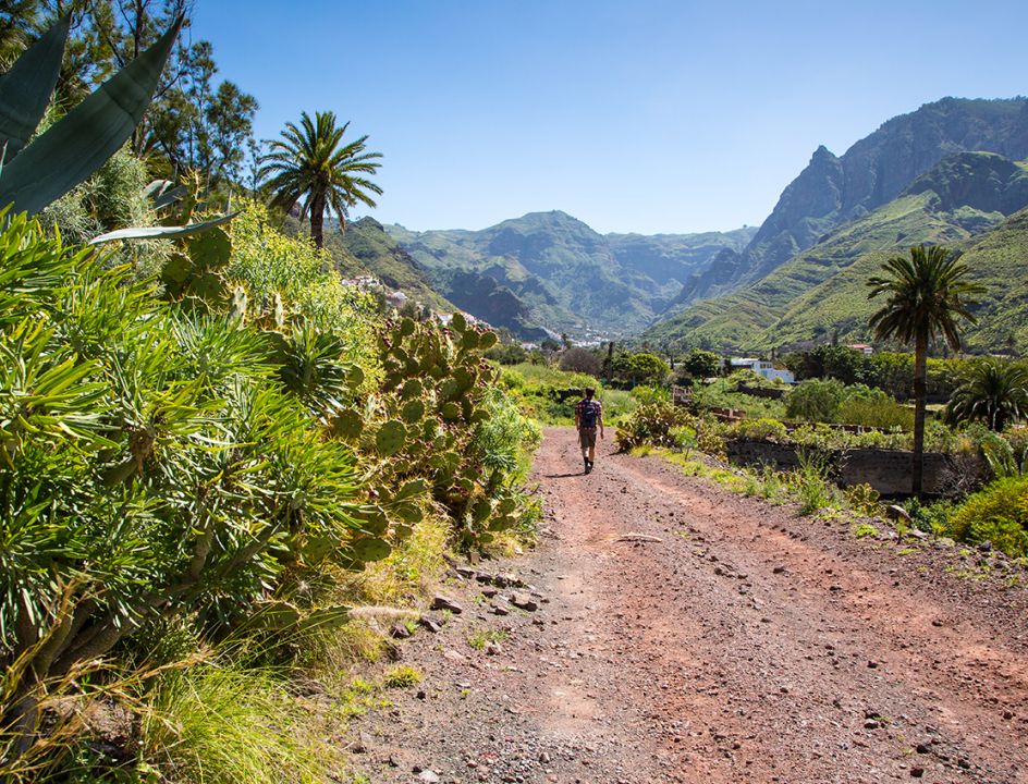 Bas van Oort wandelen op Gran Canaria 